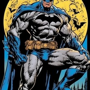 The batman : divided states of america