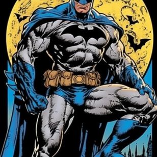 Thebatman:dividedstatesofamerica