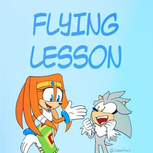 Flying Lesson