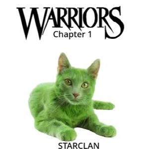 Warriors: the evil of fireclan