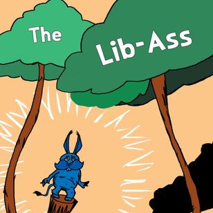 TheLib-Ass