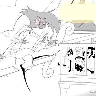 SpiderDaddy