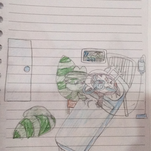 Mimesproblemwithinjuries