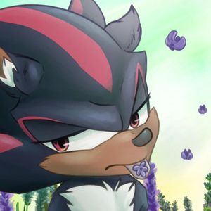 Lavandula - A Sonadow Story
