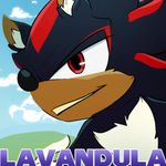 Episode-1: - Cover, Pages 1-5 of Lavandula - A Sonadow Story, a Sonic the Hedgehog fanfiction comic. 