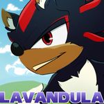 Episode-2: - Pages 6-10 of Lavandula - A Sonadow Story, a Sonic the Hedgehog fanfiction comic. 