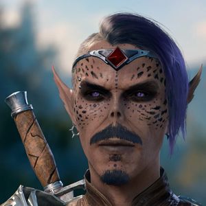 Shadow of the Stars: The Gift of the Void