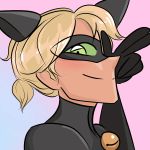 Episode-3: - Clever Boy of Curiosity Killed the Cat, a Miraculous Ladybug fanfiction comic. Cat Noir helps take down an Akumatized villain to gain Ladybug's trust.