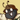 Normalaya's profile image