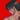 __seib1e's profile image