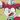 Sleepyorker's profile image