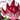 SquiddyStar's profile image