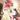 Nala6098's profile image
