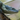 TealLizard's profile image