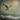 calm-silver-bird's profile image