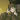darkstorm1364's profile image