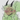 CrypticWalker's profile image