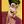 shredsmiler's profile image