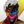 sir_sugarskull_art's profile image