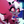 MysticTulip's profile image