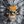 Kuzo_nami's profile image