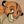 Nala15's profile image