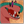 TailsDrawsJunk's profile image