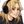 wiistef's profile image