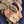 Isopod15's profile image