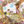 Fancysylveon101's profile image