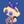 KichiMiangra's profile image