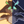 CcArcturus's profile image