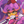 nuemilee's profile image