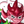 SquiddyStar's profile image