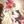 Nala6098's profile image