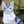 Echoclaw's profile image