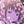 MissLey's profile image