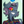 AxelGear's profile image