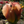 humliej's profile image