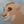 Sapphic-Lioness's profile image