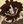 Rayrayartz's profile image