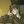 darkstorm1364's profile image
