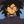 DododieVA's profile image