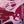 amendolacristina7's profile image