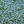 SharkLuv's profile image