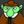 TheRealString's profile image